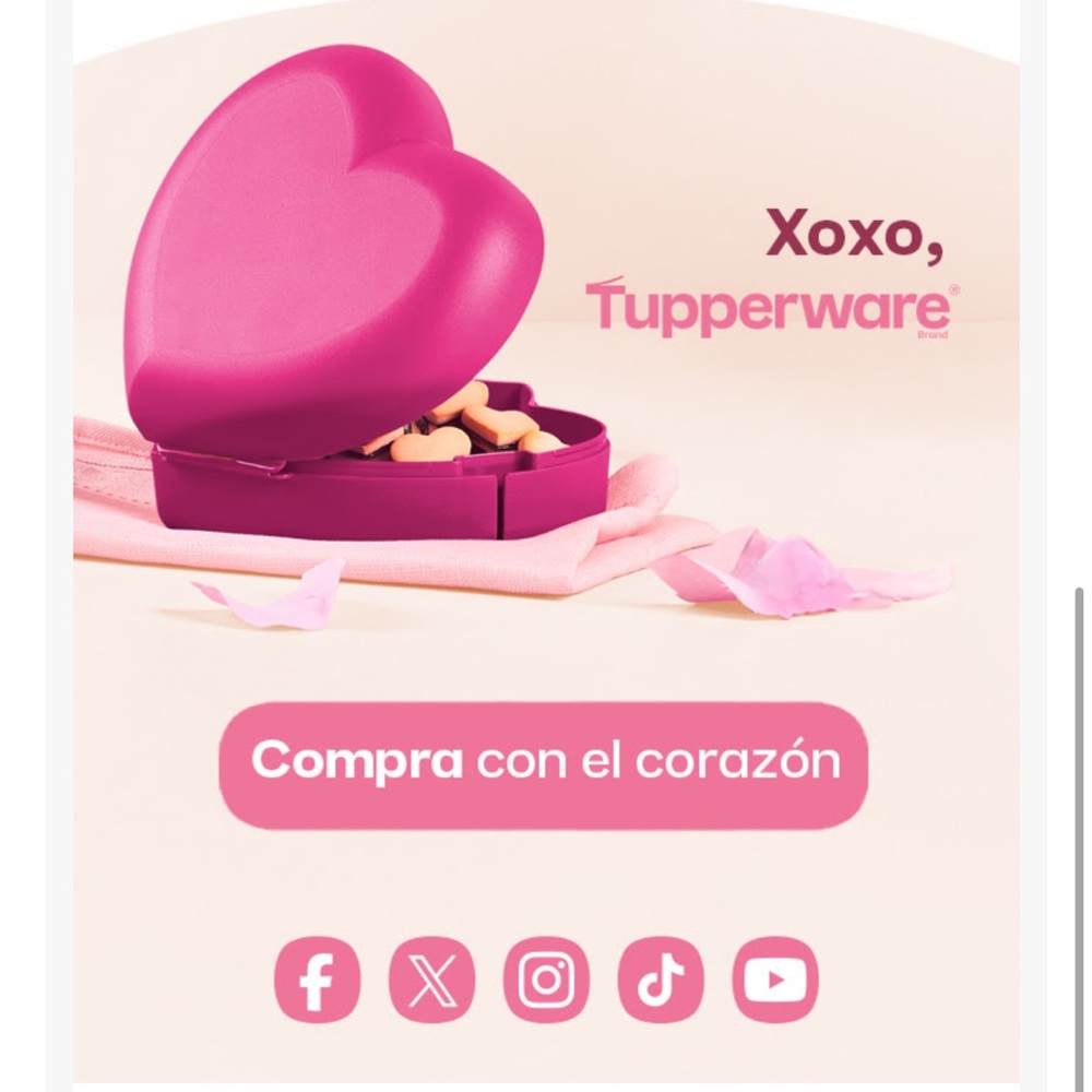 Tupperware Fuchsia Heart Container